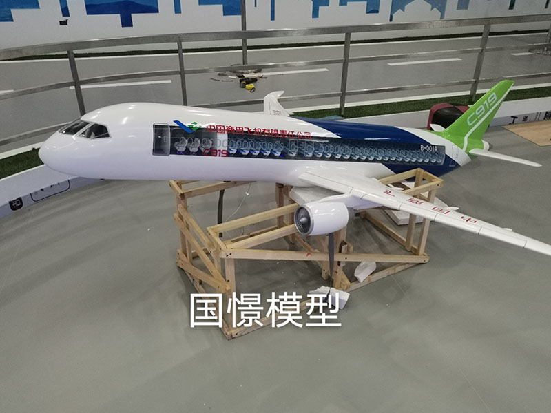 城固县飞机模型